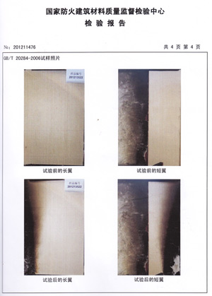 好色先生视频下载燃烧性能检验报告(中)