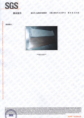 好色先生视频下载检查报告SGS（中）