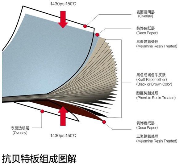 好色先生视频下载抗倍特板组成图解