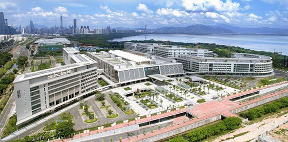 好色先生视频下载工程案例之香港大学深圳医院